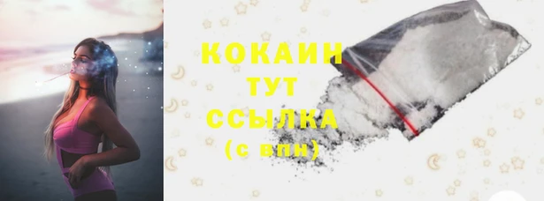 спайс Баксан