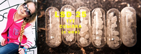 спайс Баксан