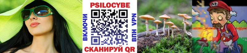 Галлюциногенные грибы MAGIC MUSHROOMS  Купить закладки  Мосальск 